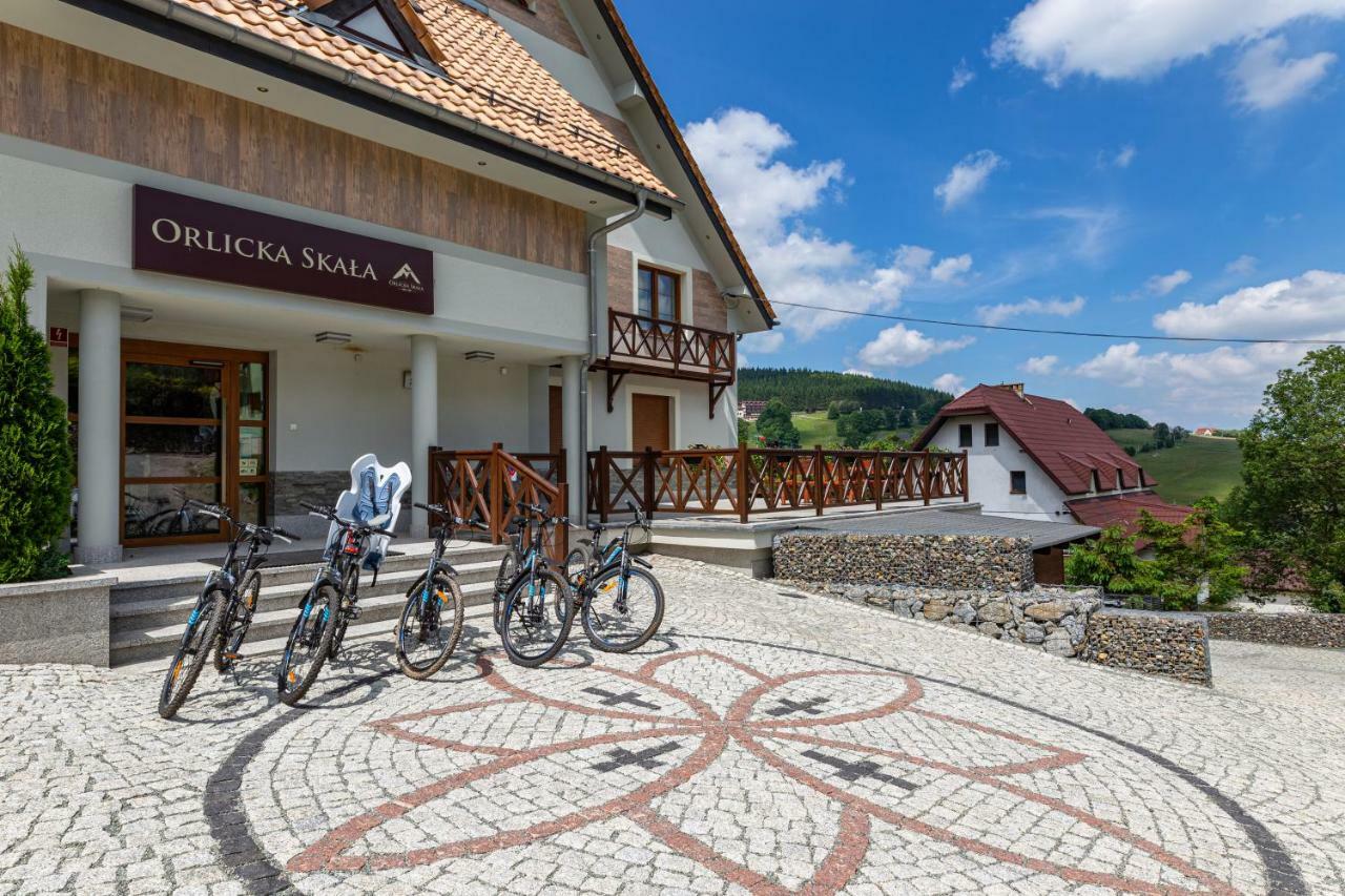 Orlicka Skala Bed & Breakfast Zieleniec  Exterior photo